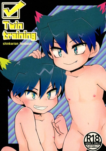 Twin training cover