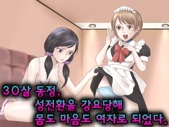 30-sai Doutei, Seitenkan o Kyouyou Sarete Mi mo Kokoro mo Onna ni Sareta. | 30살 동정, 성전환을 강요당해 몸도 마음도 여자로 되었다. cover