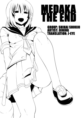 Medaka The End cover
