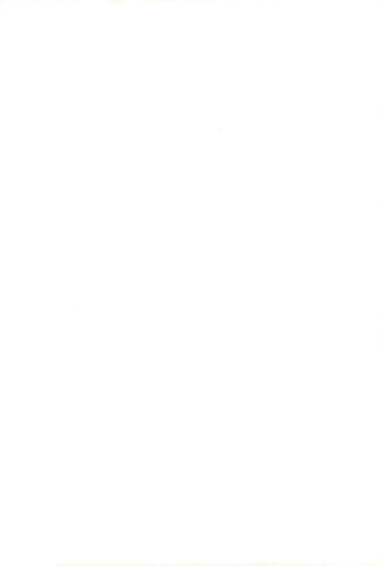 Wriggle Musou You -Perfect Cherry Blossom- page 2 full
