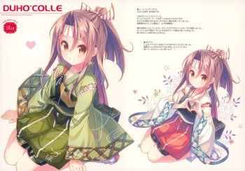 DUHO*COLLE cover