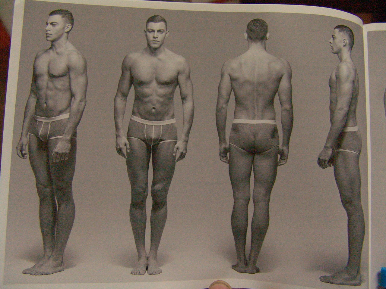 masters of anatomy page 7 full