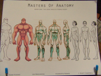 masters of anatomy cover