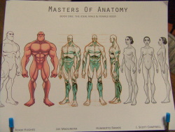 masters of anatomy