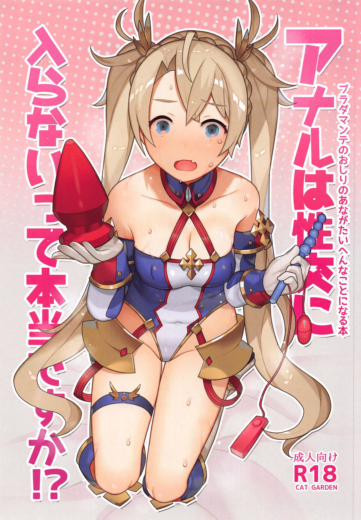Anal wa Seikou Ni Hairanaitte Hontou Desu ka!? page 1 full