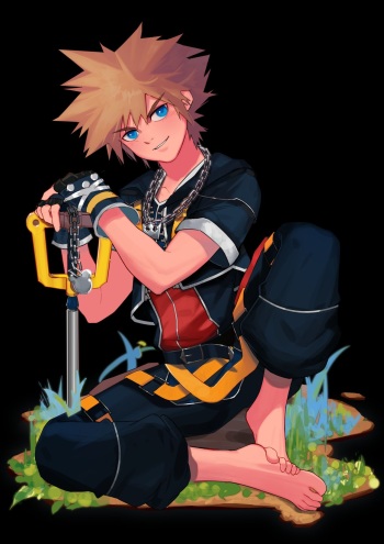 Sora cover