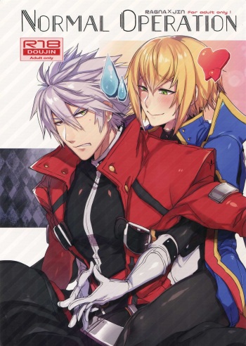 NORMAL OPERATION cover