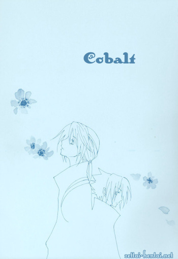 Cobalt cover