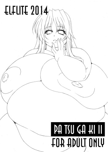 Pa Tsu Ga Ki II cover