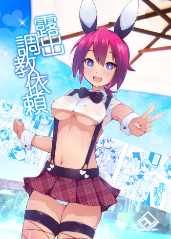 Roshutsu Choukyou Irai cover