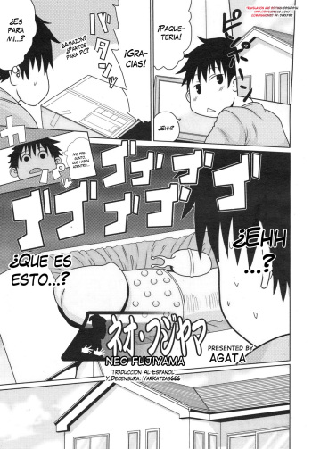 Neo Fujiyama cover