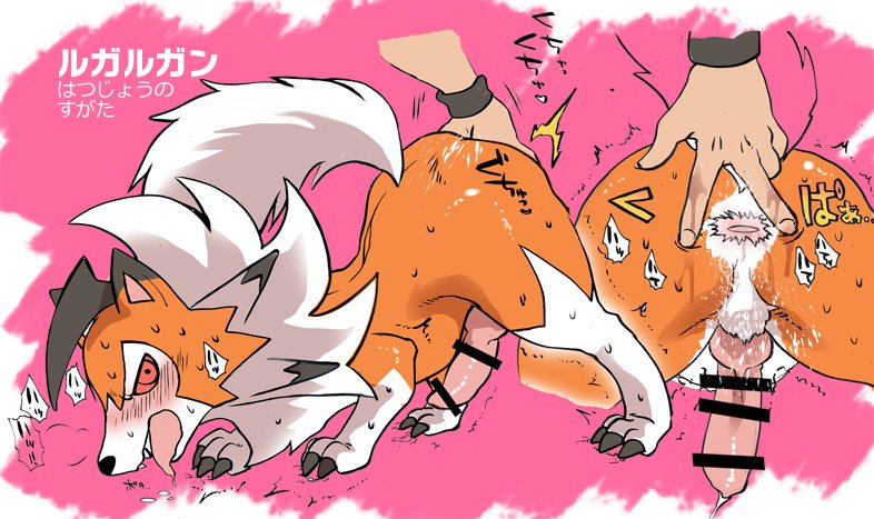 きんにく -【腐】去年のポケモン18禁絵♂×♂（ゼラオラ・ルガルガン受他） page 4 full