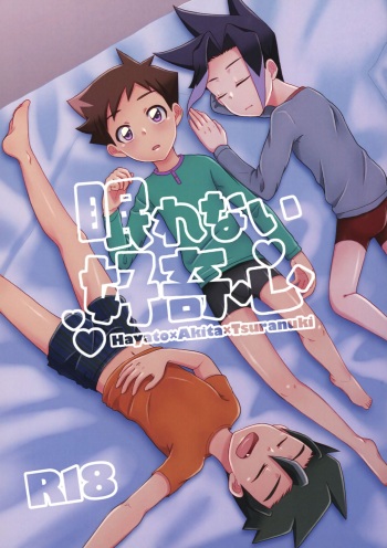 Nemurenai Koukishin cover