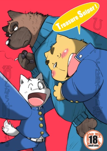 Treasure Sniper! cover
