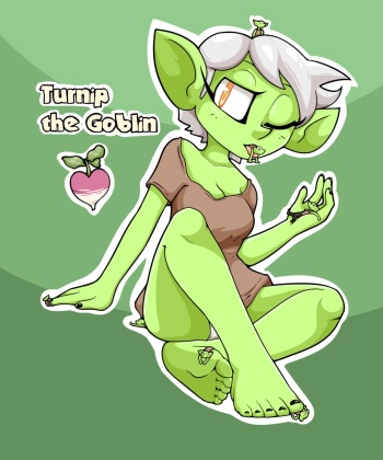 Shadow of the Goblin cover