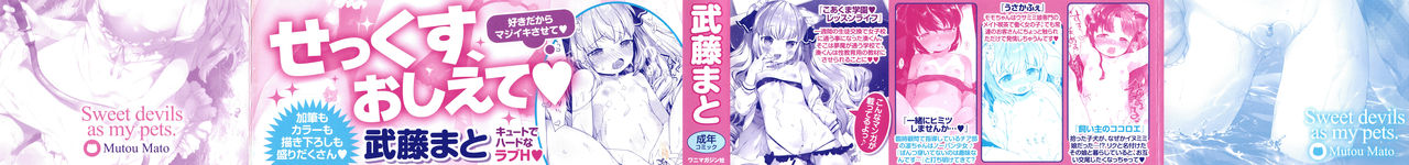 Koakuma wa Shoudoubutsu - Sweet devils as my pets. page 2 full