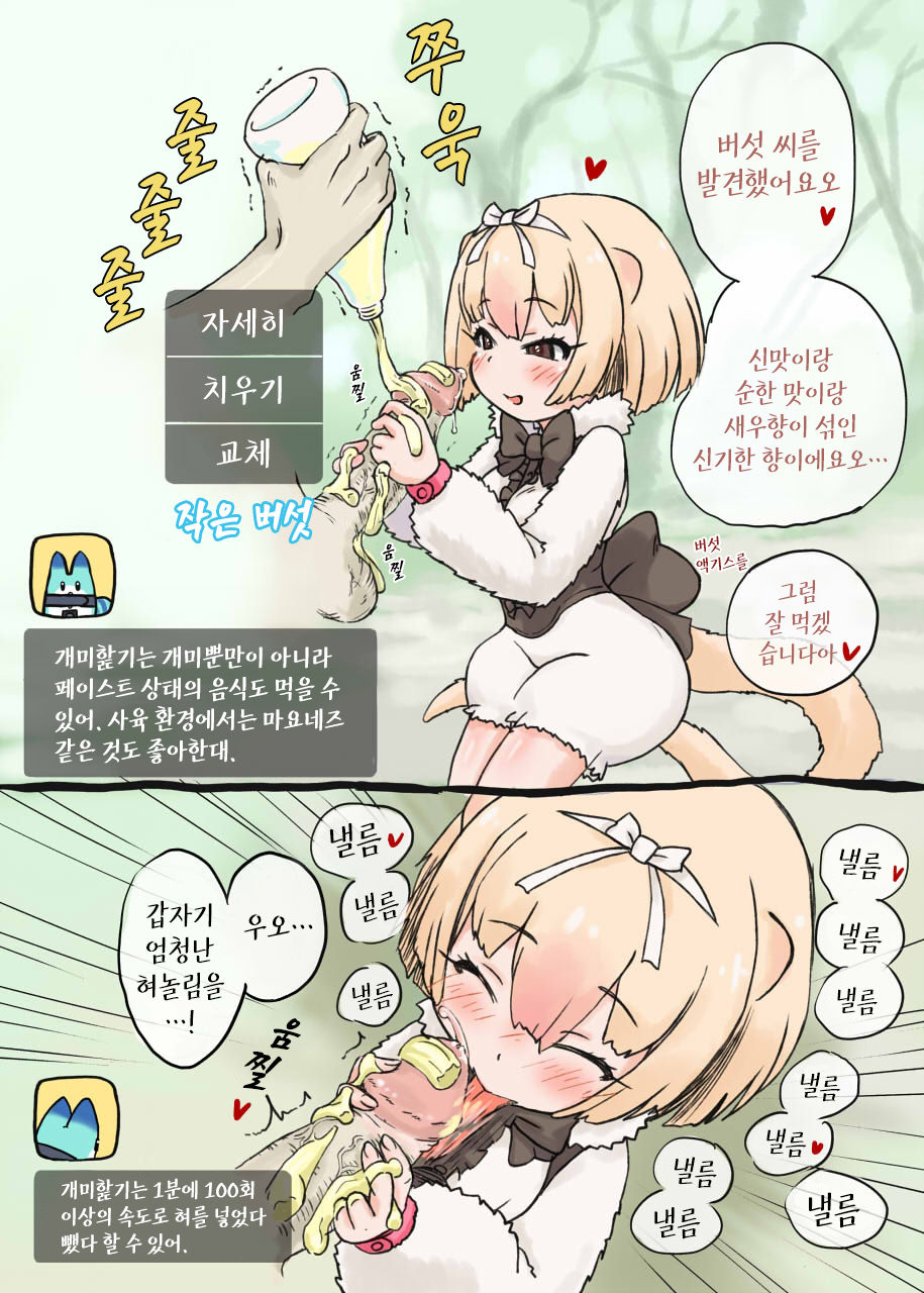 Himearikui - Silky Anteater | 애기개미핥기 page 2 full