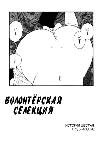 Volunteer Breeding Ch.6 cover
