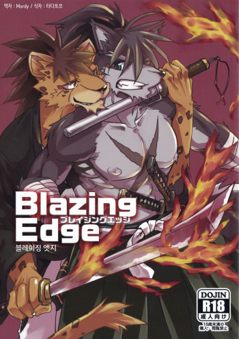 Blazing Edge cover