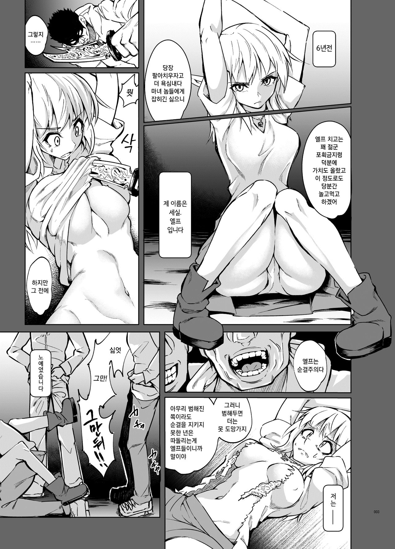 Toaru Elf o Hikitorimashite Shunmin no Hi  | 어떤 엘프를 떠맡게 되었습니다 ~ 춘면의 날 ~ page 3 full