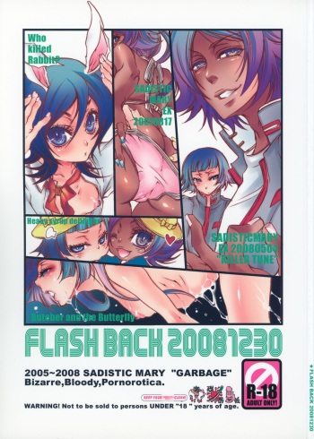 FLASH BACK 20081230 cover
