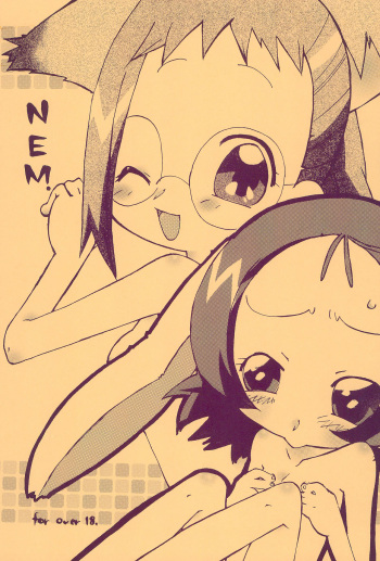 NEM. cover