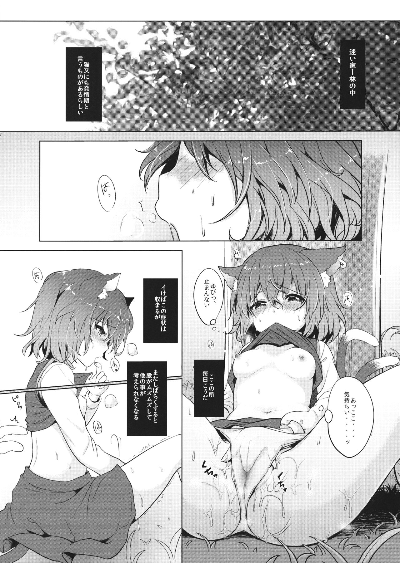 Chen-chan no Hatsujouki page 3 full