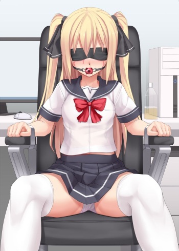 Kousokuisu | Chair Restraint cover