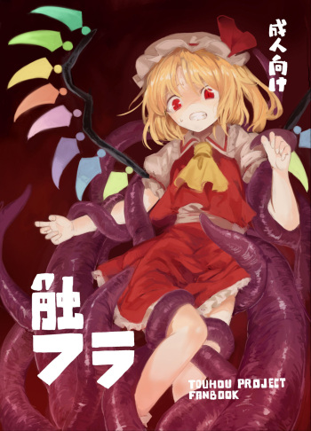 Shoku Fla cover