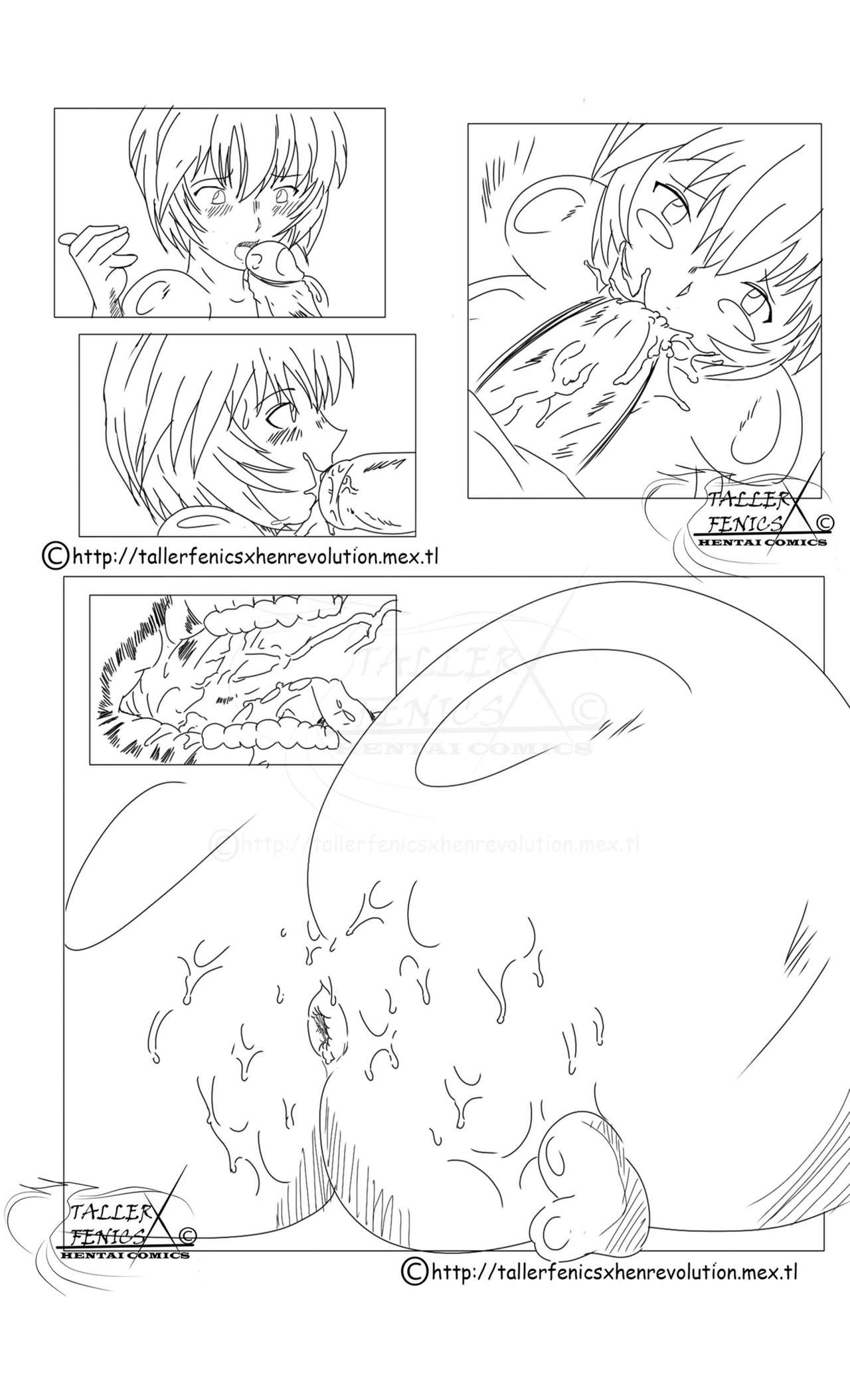 Rei Expansion Cookie page 5 full