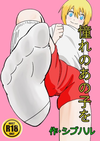 Akogare no Anoko o cover