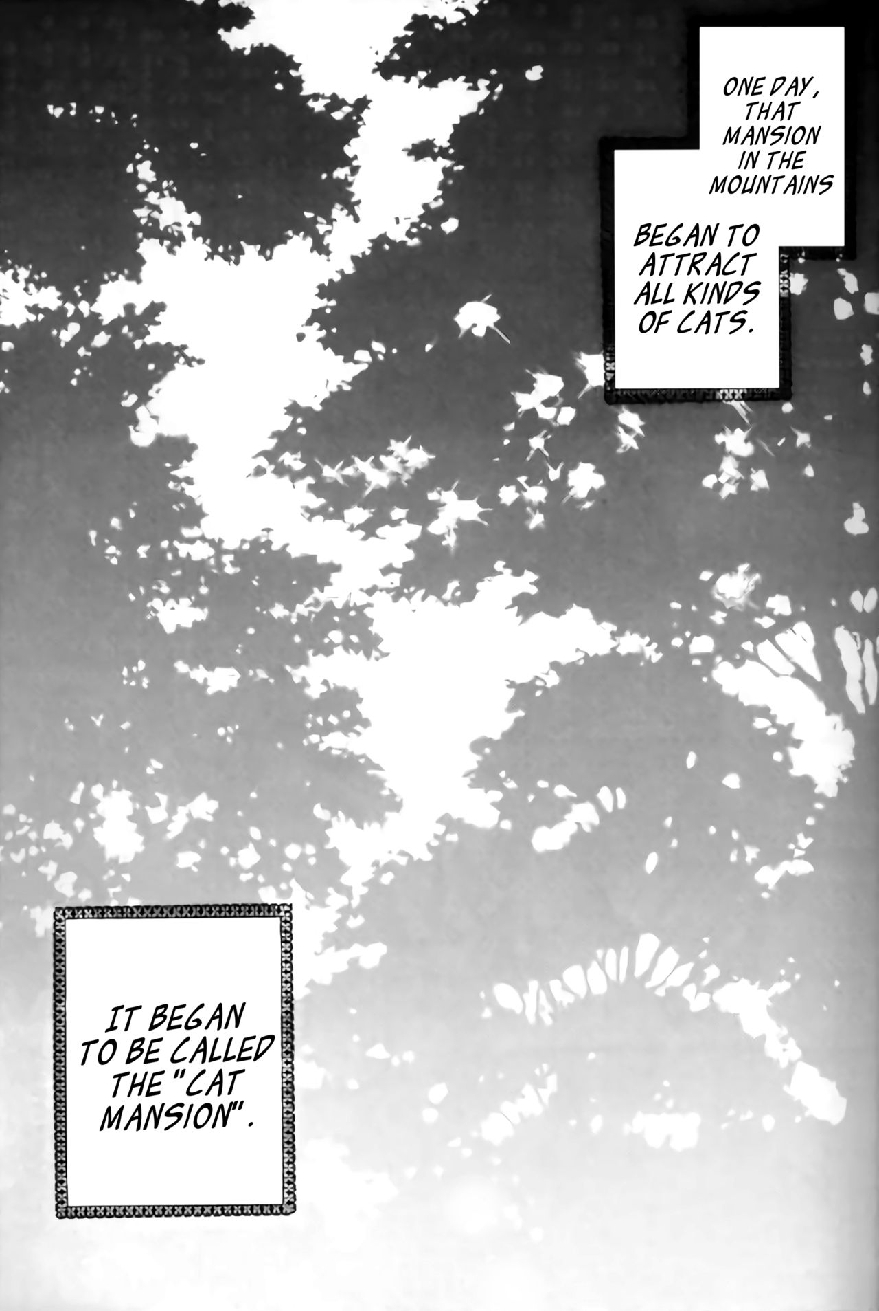 Tobikiri no Himitsu 1 | The troubling secret 1 page 5 full