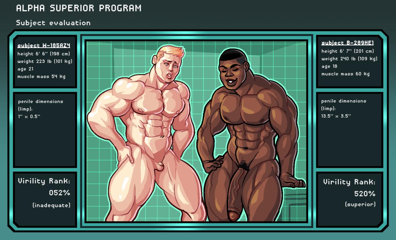 bmtd alpha superior program page 2 full