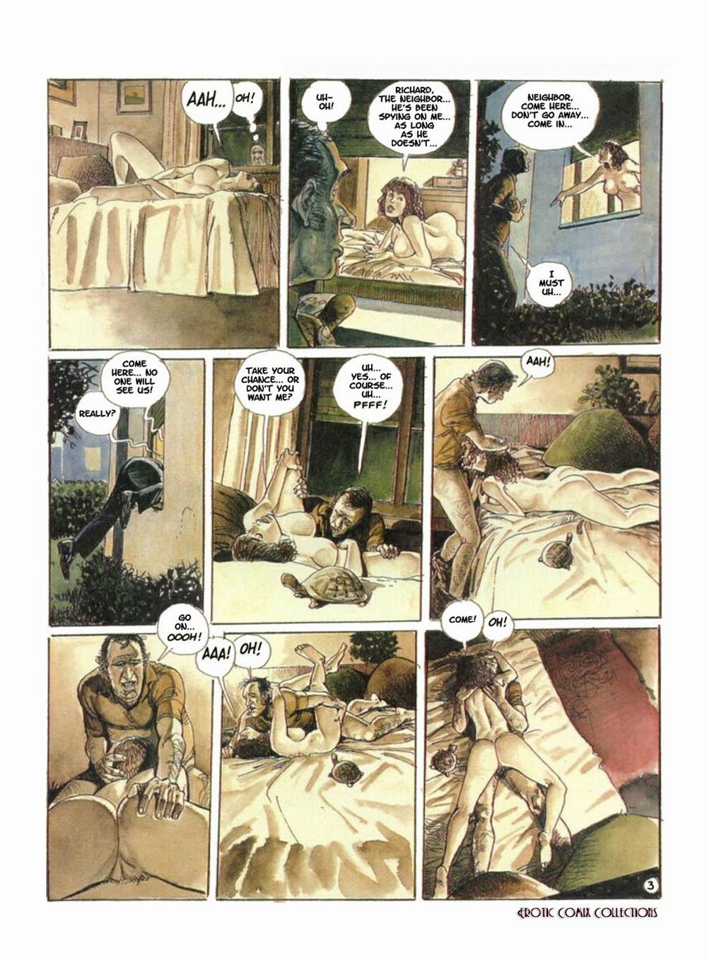 The Turtle page 3 full
