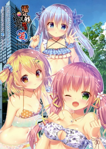電気外祭り 2018 SUMMER 公式ビジュアルブックレット cover