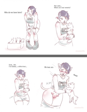 Dog Mom cover