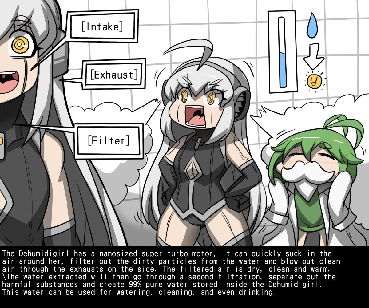 Dehumidigirl page 2 full
