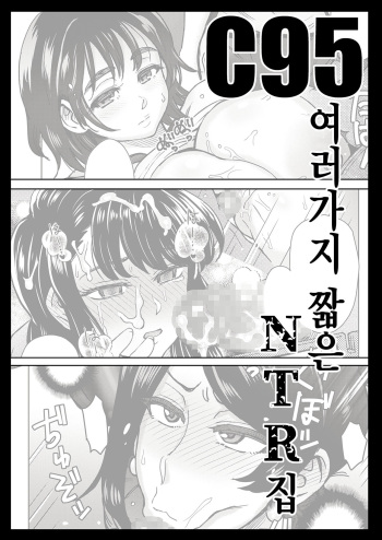 C95 Yorozu NTR Short Manga Shuu | C95 여러가지 짧은 NTR 집 cover