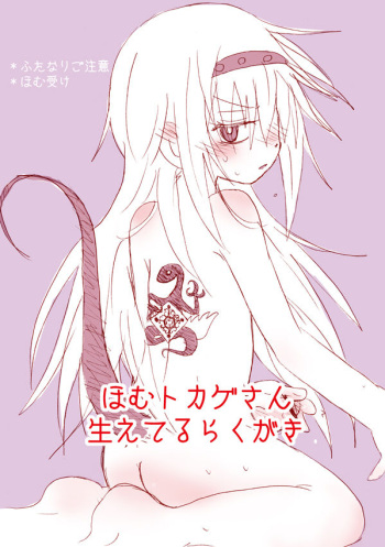 Homu Tokage cover