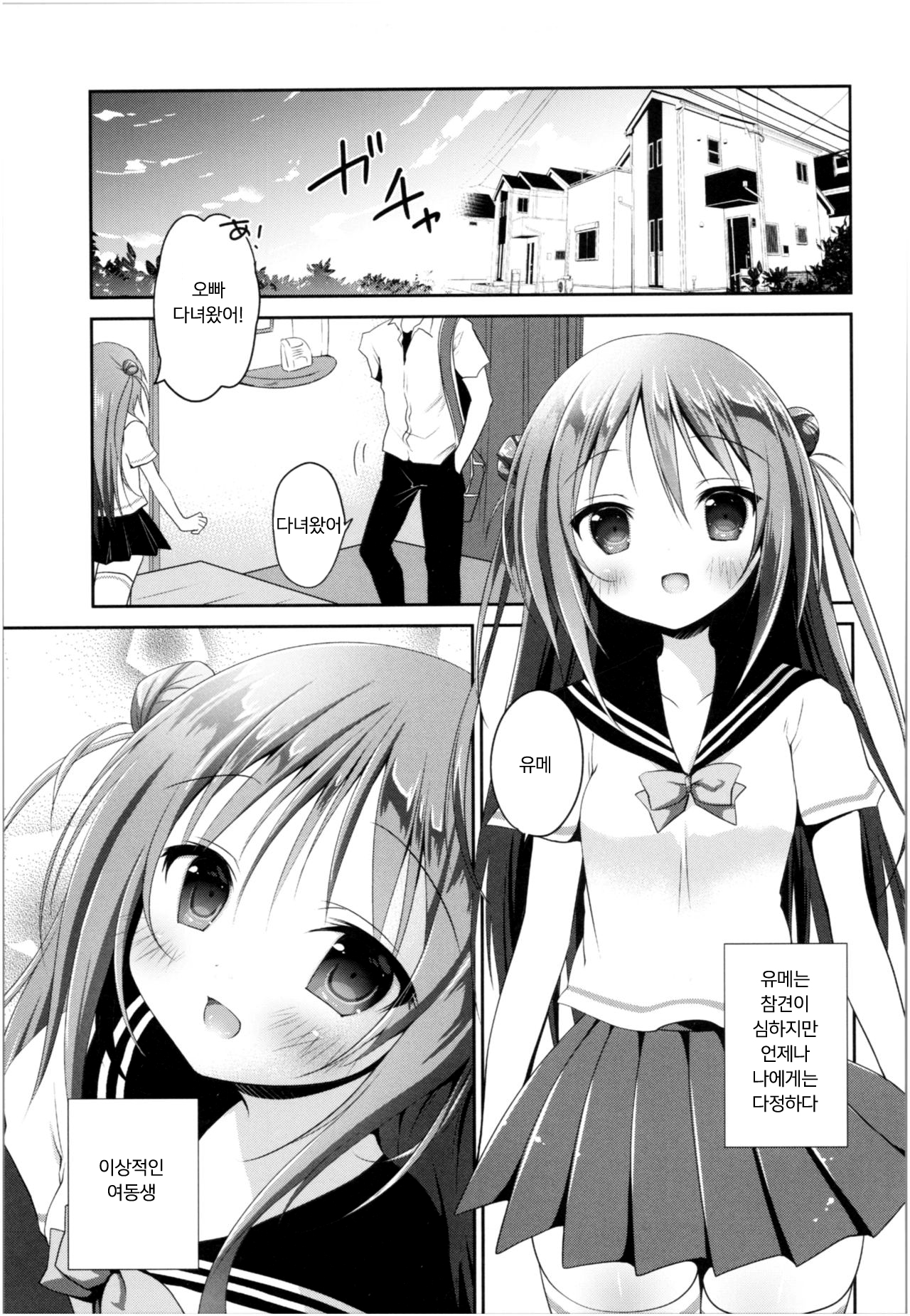 Risou no Imouto Soushuuhen | 이상적인 여동생 총집편 page 4 full