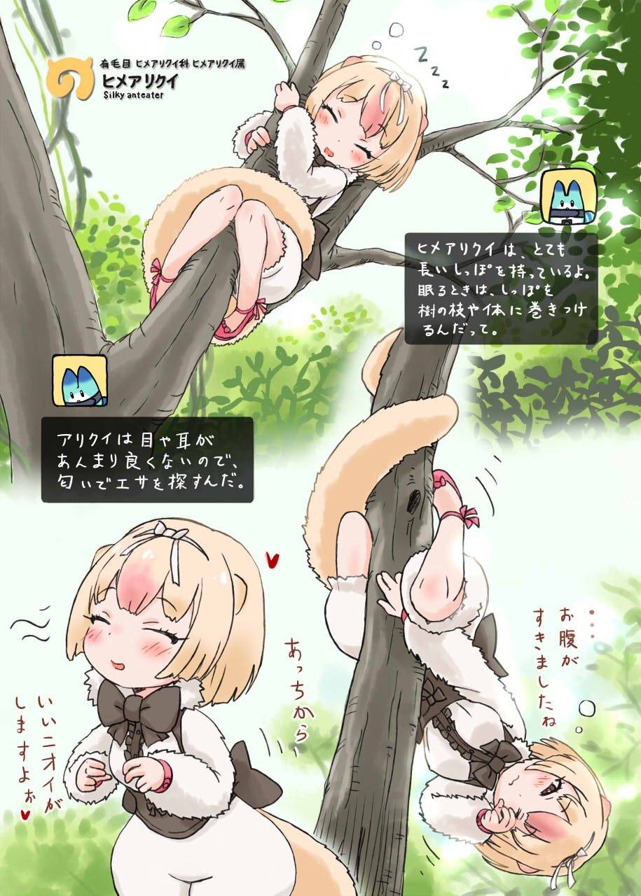 Himearikui - Silky Anteater page 1 full