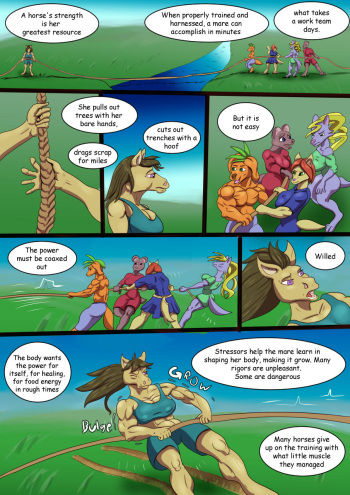 Horse Tug of War cover