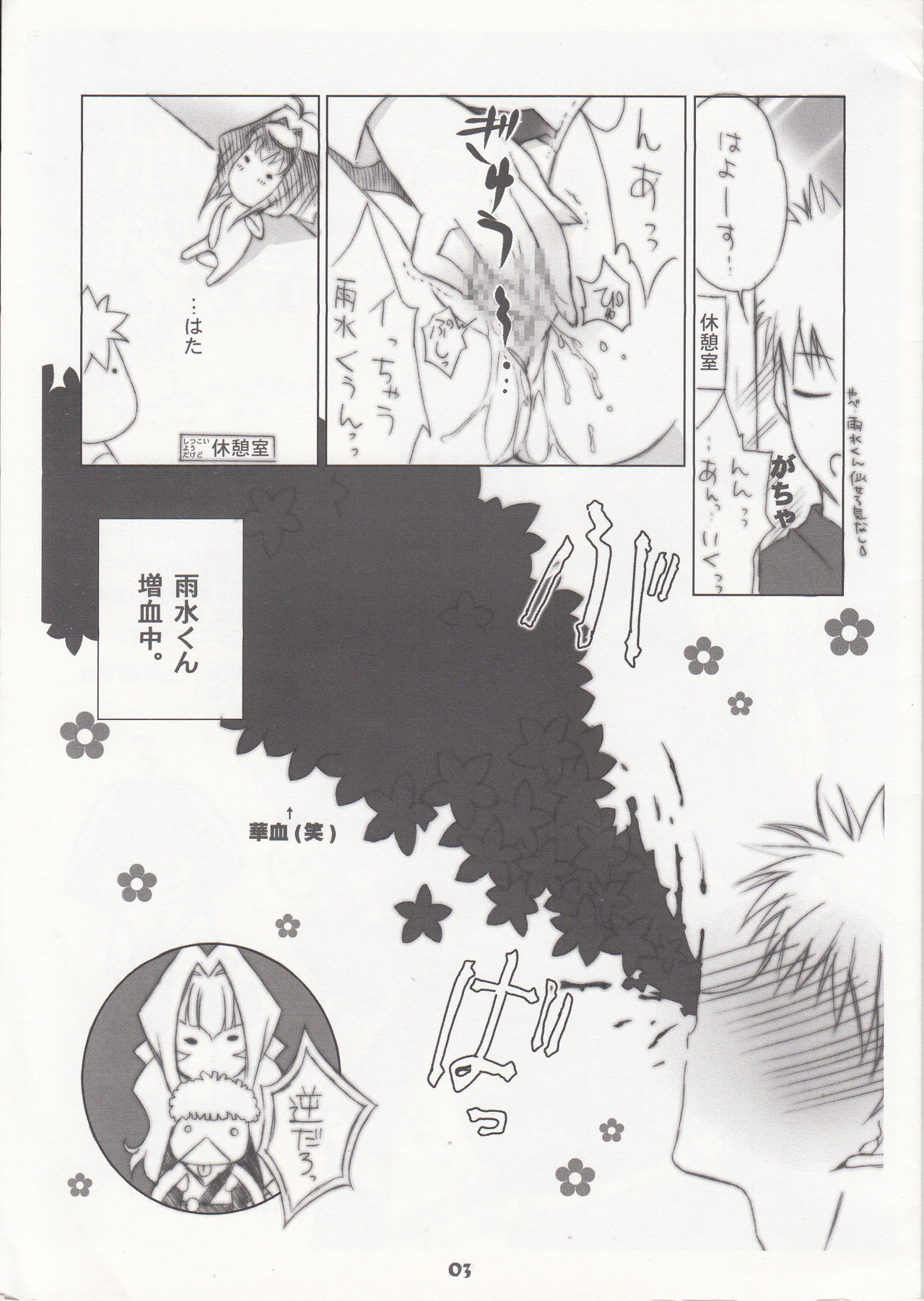 Chinese Quince page 3 full