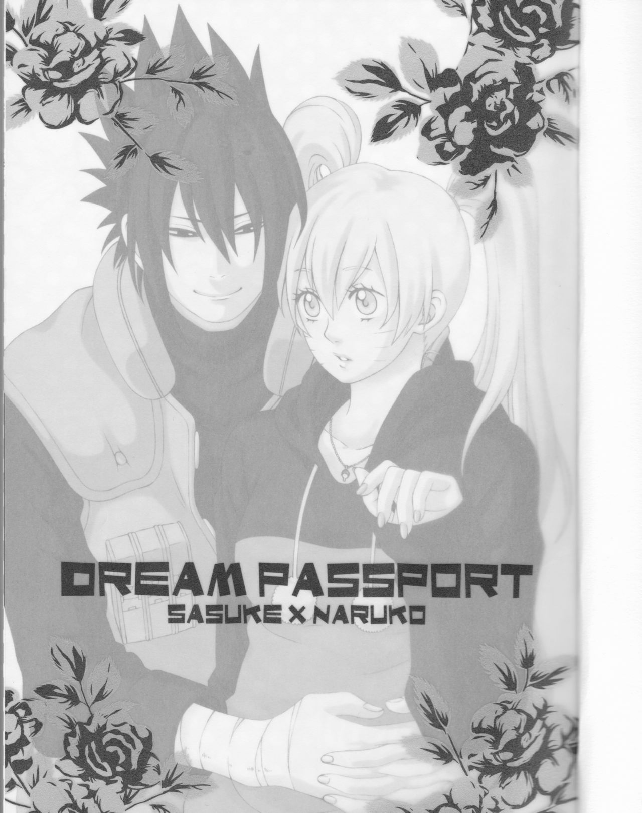 Dream Passport page 2 full