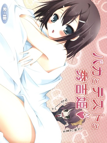 Baka to Test to Hideyoshi Hime cover