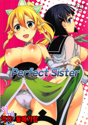Perfect Sister cover