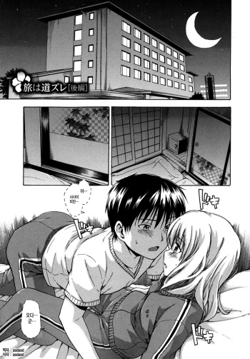 Tabi wa Michizure cover