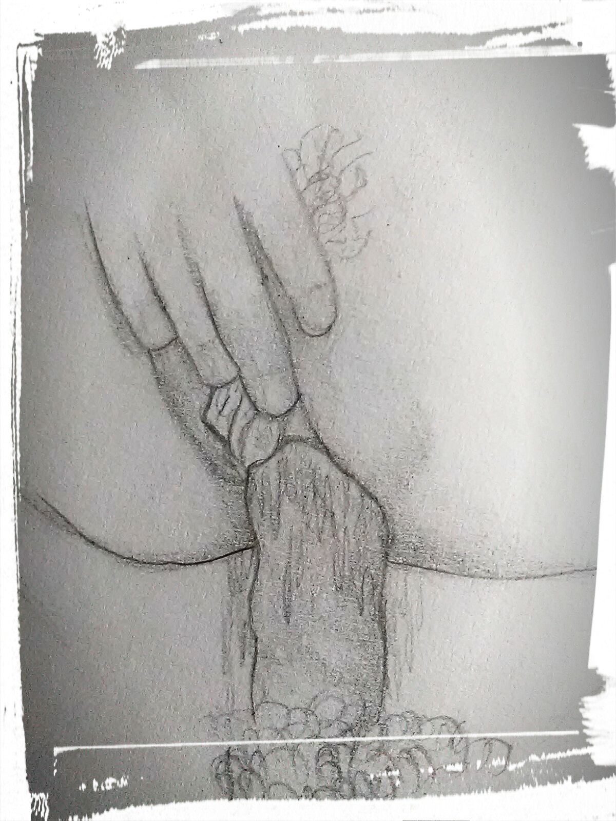 A pussy for real page 2 full