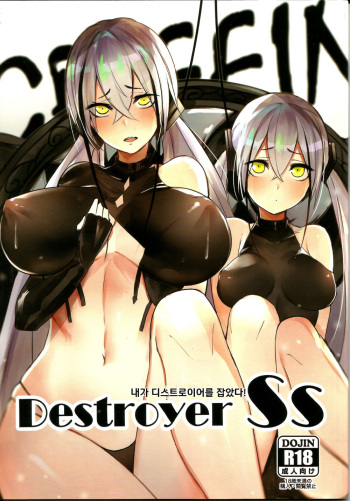 孟達 Destroyer SS 내가 디스트로이어를 잡았다! cover