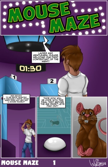 Mouse Maze cover